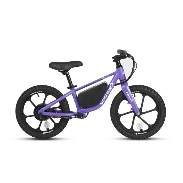 20" E-kids Bike - Image 39