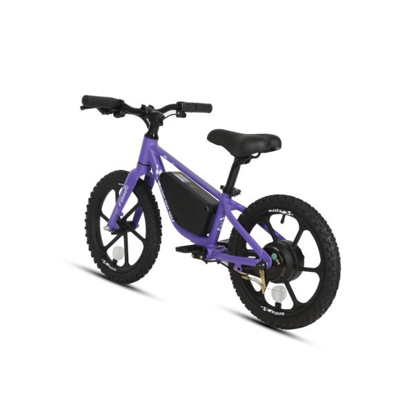 20" E-kids Bike - Image 38