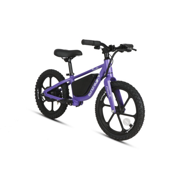 20" E-kids Bike - Image 37