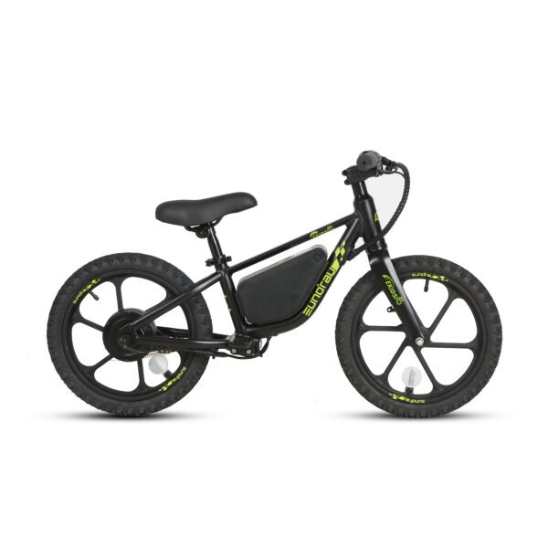 20" E-kids Bike