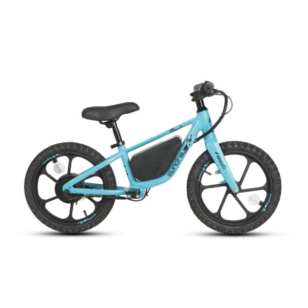 20" E-kids Bike - Image 43