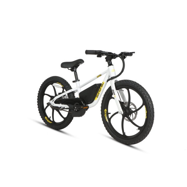 20" E-kids Bike - Image 15