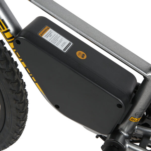 20" E-kids Bike - Image 13