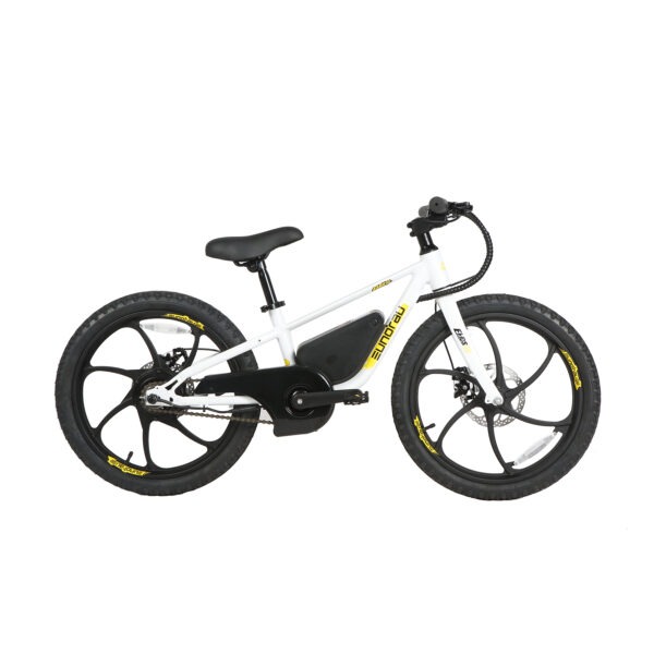 20" E-kids Bike - Image 23