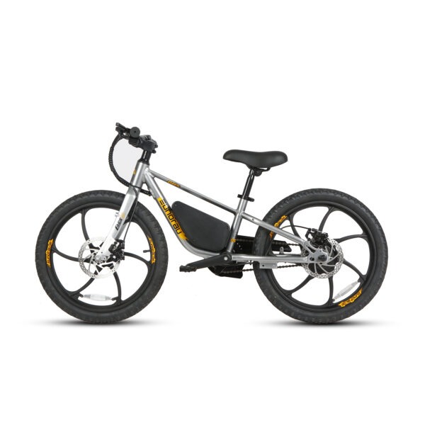 20" E-kids Bike - Image 22