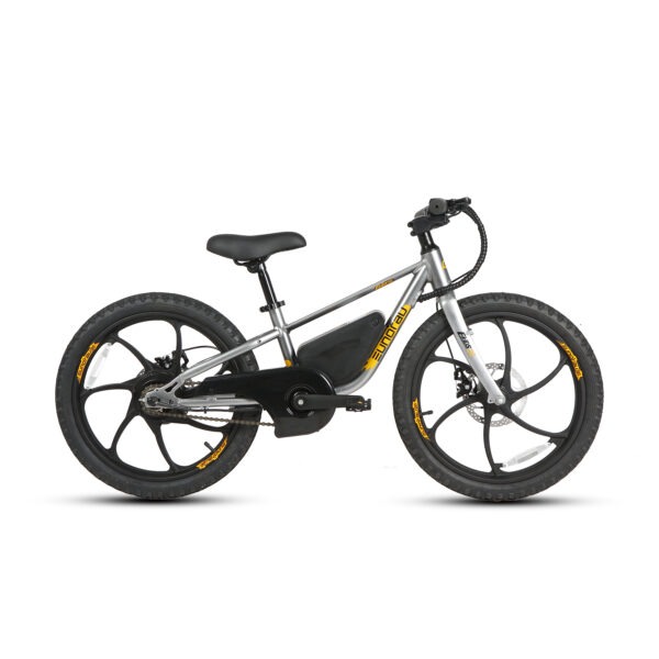 20" E-kids Bike - Image 21