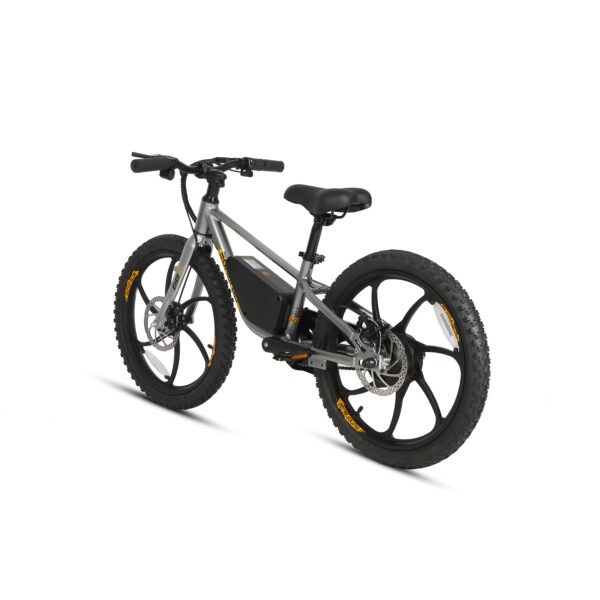 20" E-kids Bike - Image 20