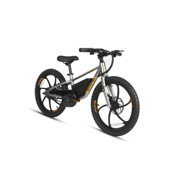 20" E-kids Bike - Image 19