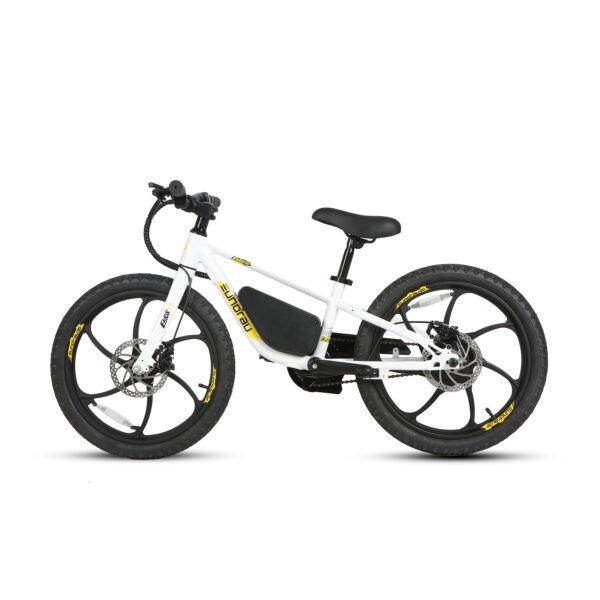 20" E-kids Bike - Image 18