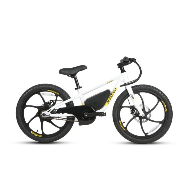 20" E-kids Bike - Image 17