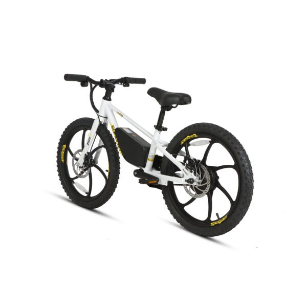 20" E-kids Bike - Image 16